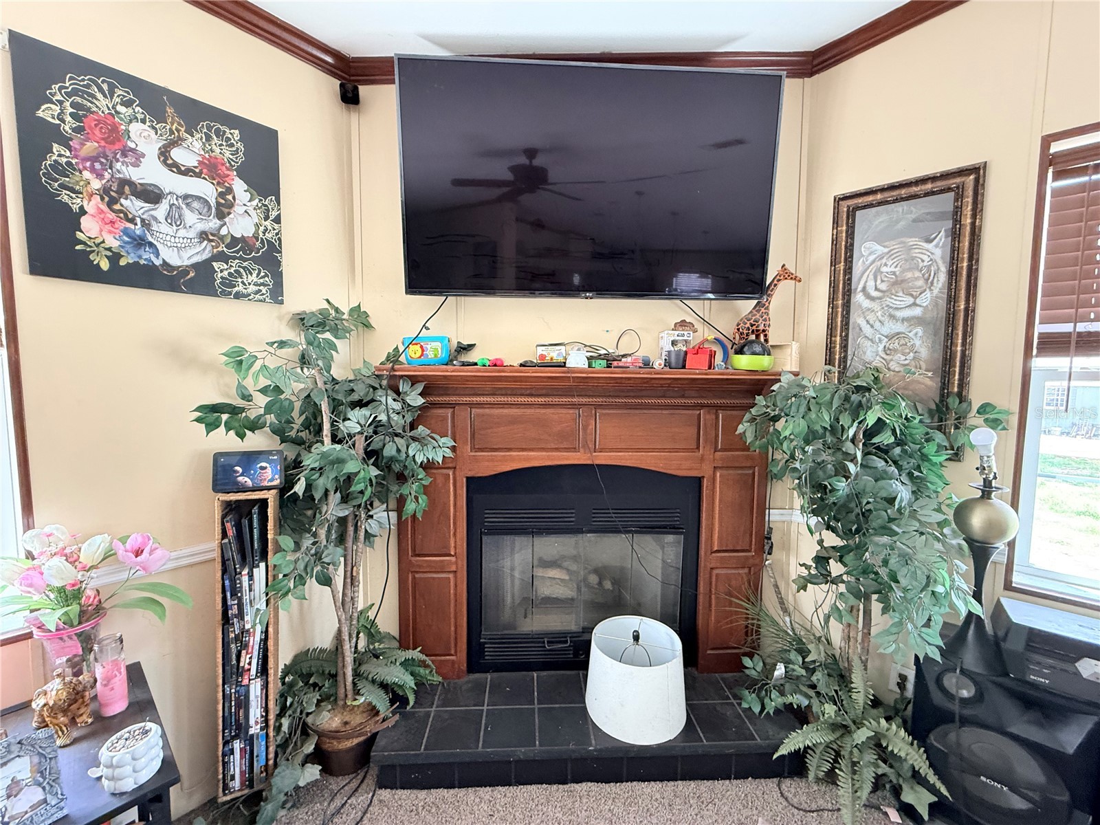 21520 SE 147th Lane Umatilla FL 32784 S5148865 image20