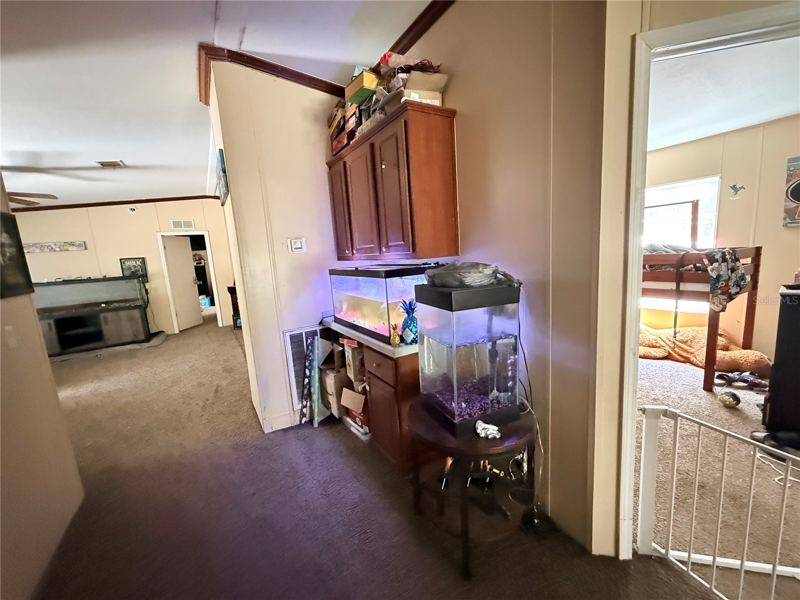 21520 SE 147th Lane Umatilla FL 32784 S5148865 image28