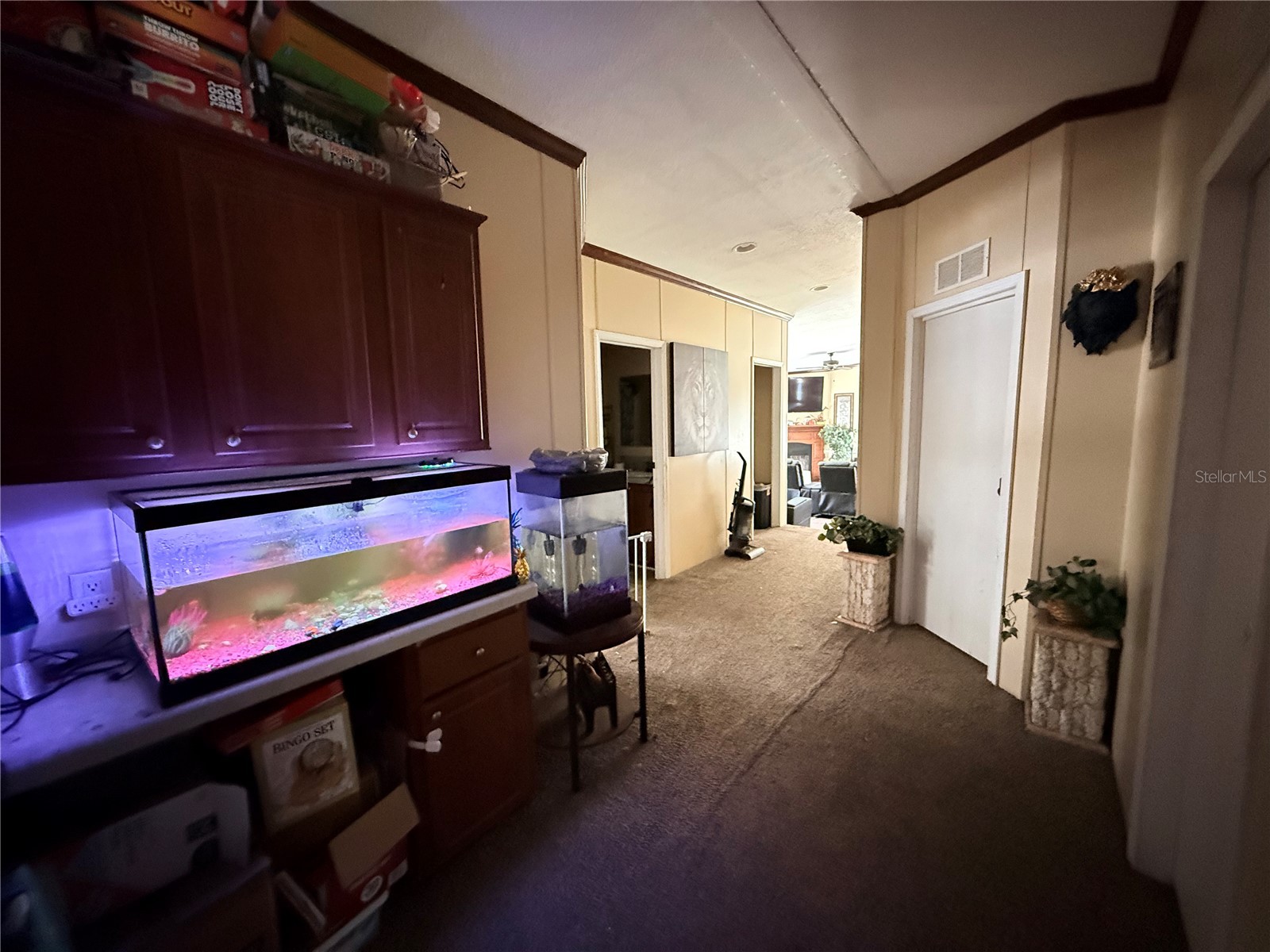 21520 SE 147th Lane Umatilla FL 32784 S5148865 image29