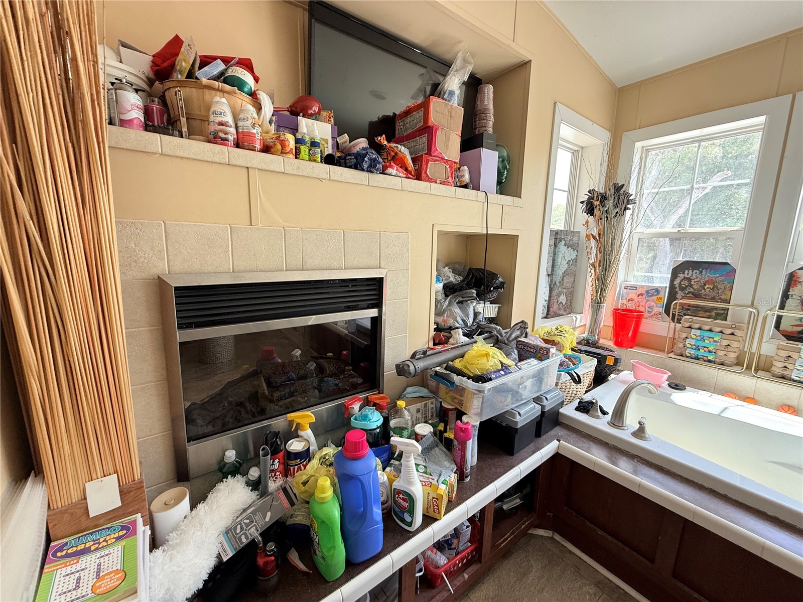 21520 SE 147th Lane Umatilla FL 32784 S5148865 image32