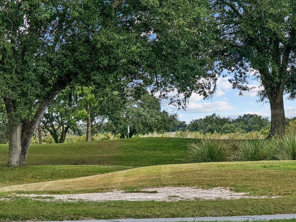 21523 Queen Anne Court Leesburg FL 34748 O6365043 image38