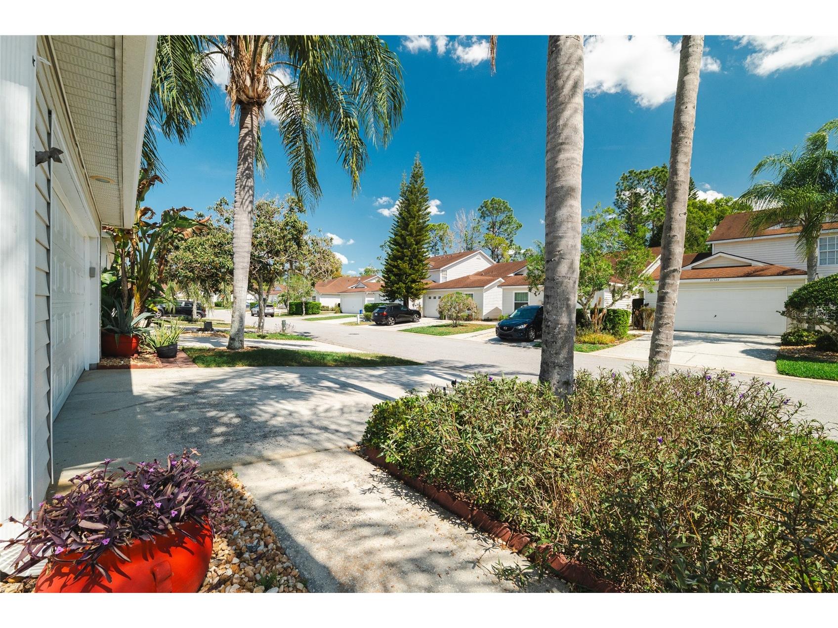21523 Woodstork Lane Lutz FL 33549 TB8484889 image33