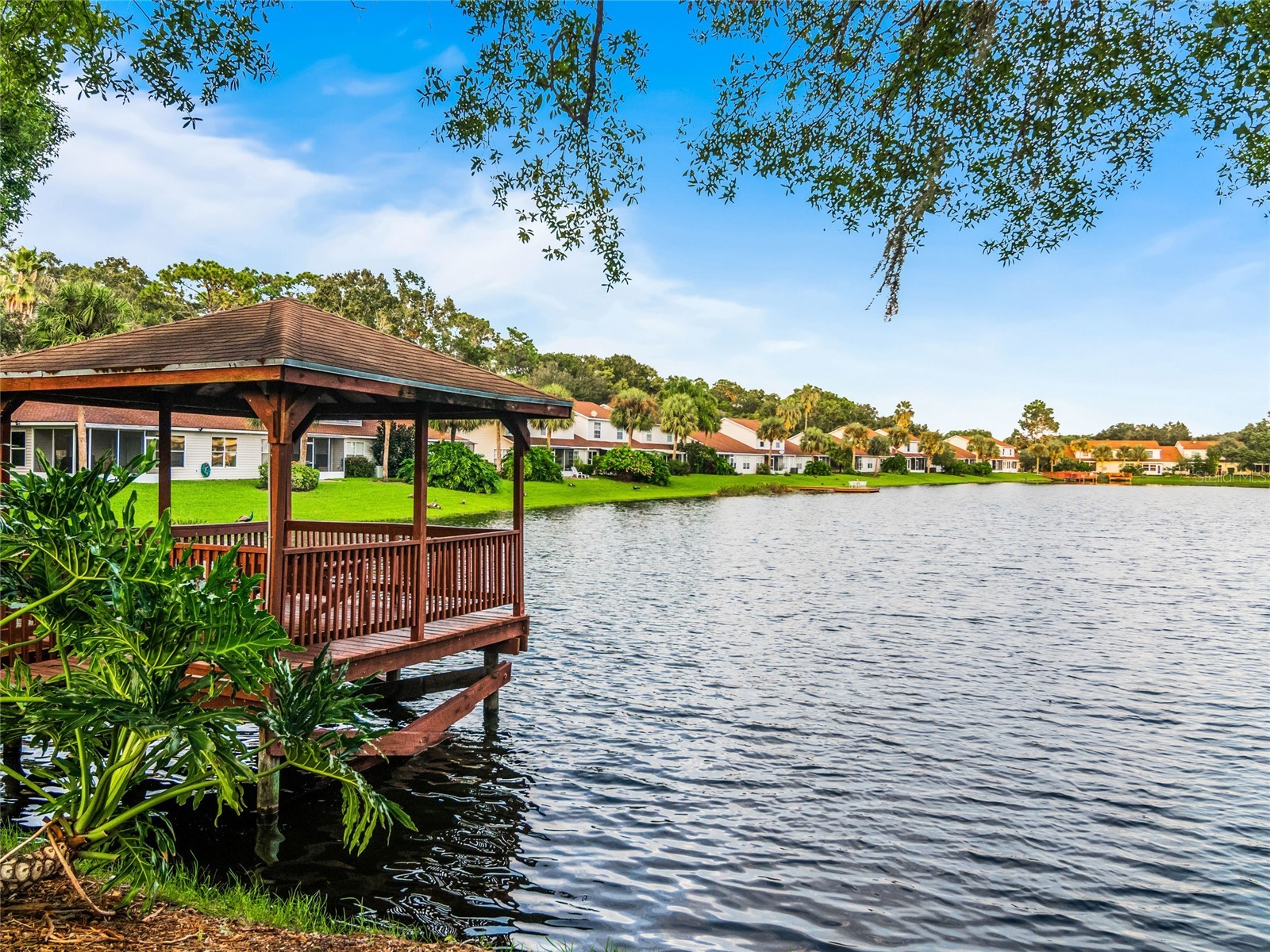 21523 Woodstork Lane Lutz FL 33549 TB8484889 image39