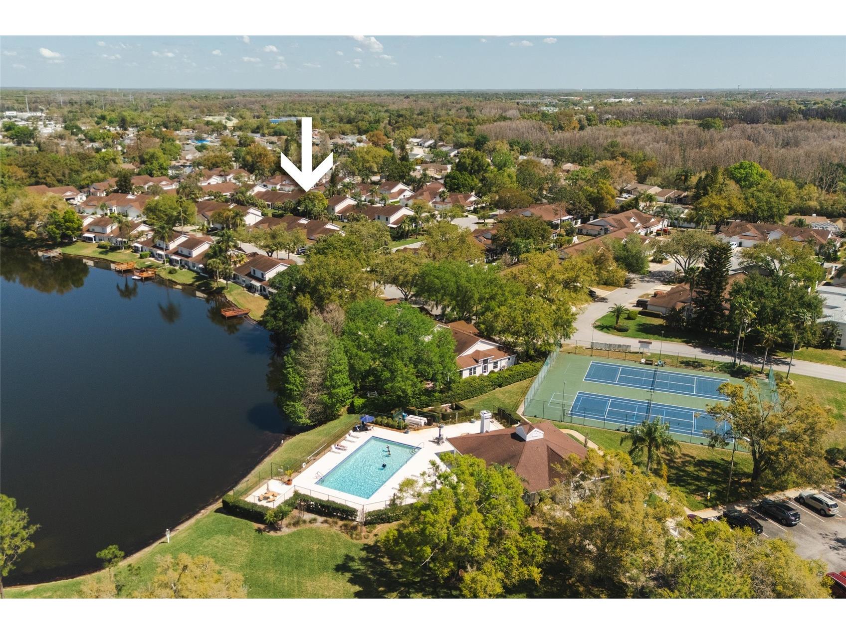 21523 Woodstork Lane Lutz FL 33549 TB8484889 image41