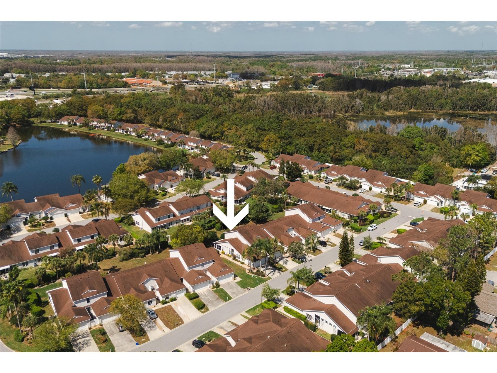 21523 Woodstork Lane Lutz FL 33549 TB8484889 image42