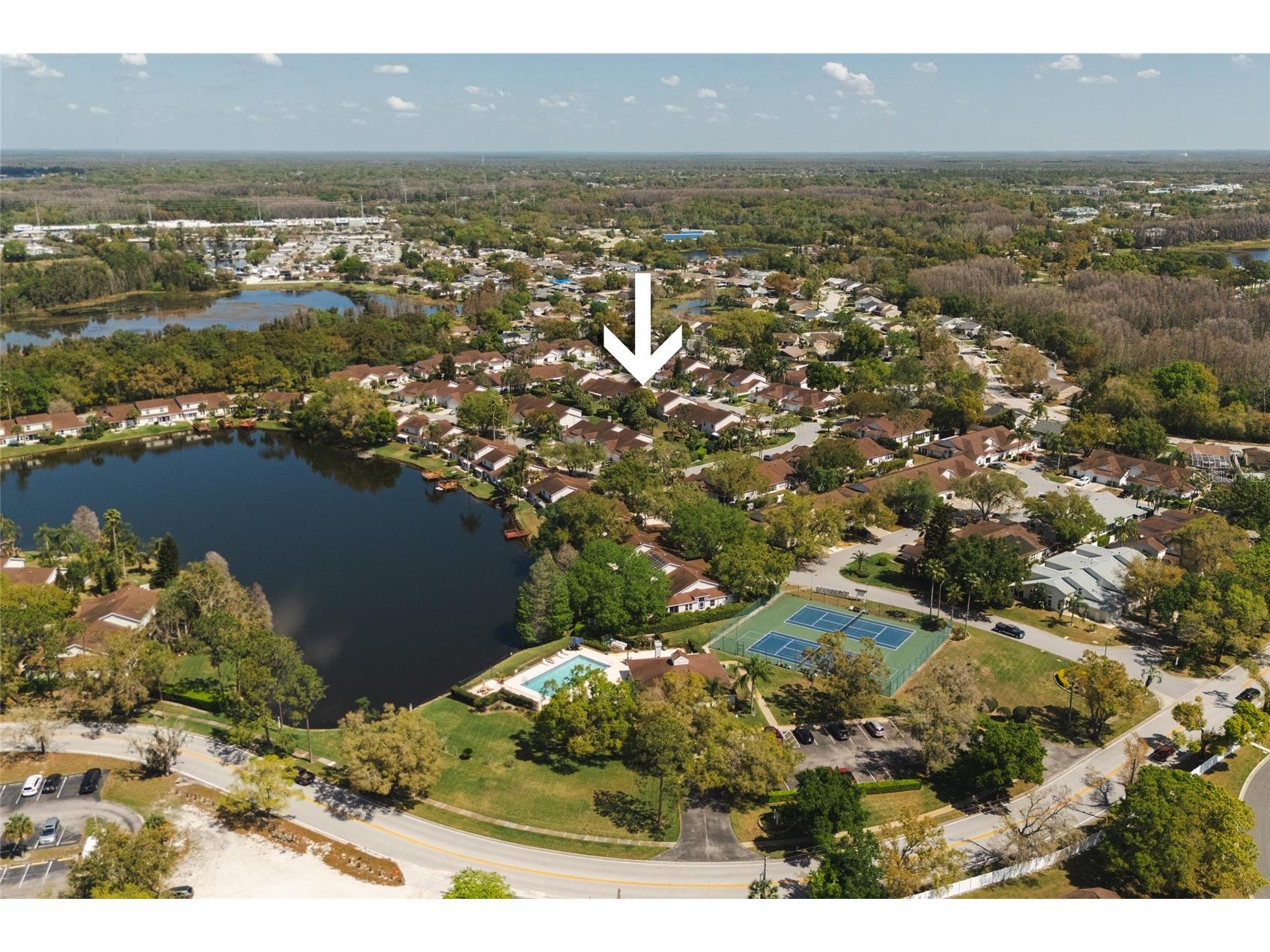21523 Woodstork Lane Lutz FL 33549 TB8484889 image43