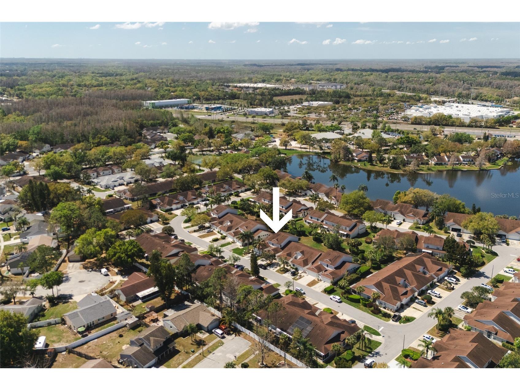 21523 Woodstork Lane Lutz FL 33549 TB8484889 image44