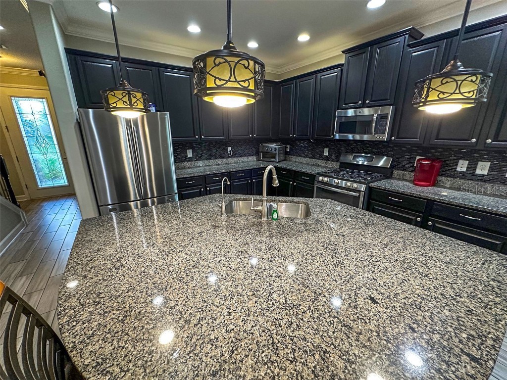 21529 Southern Charm Drive Land O Lakes FL 34637 TB8457456 image10