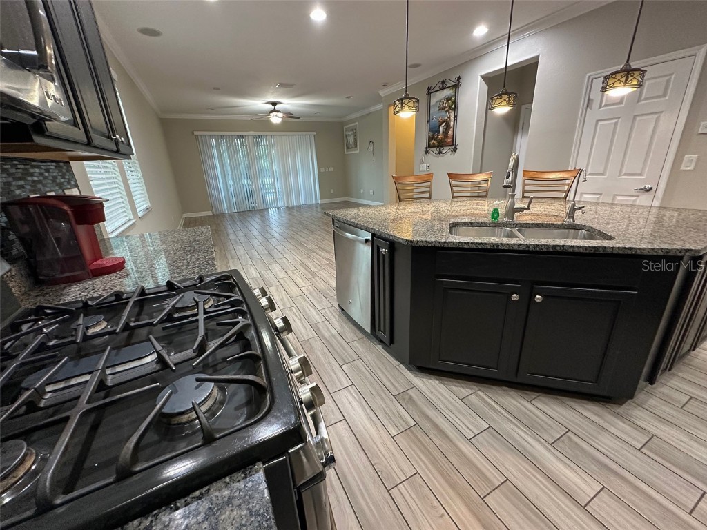 21529 Southern Charm Drive Land O Lakes FL 34637 TB8457456 image11