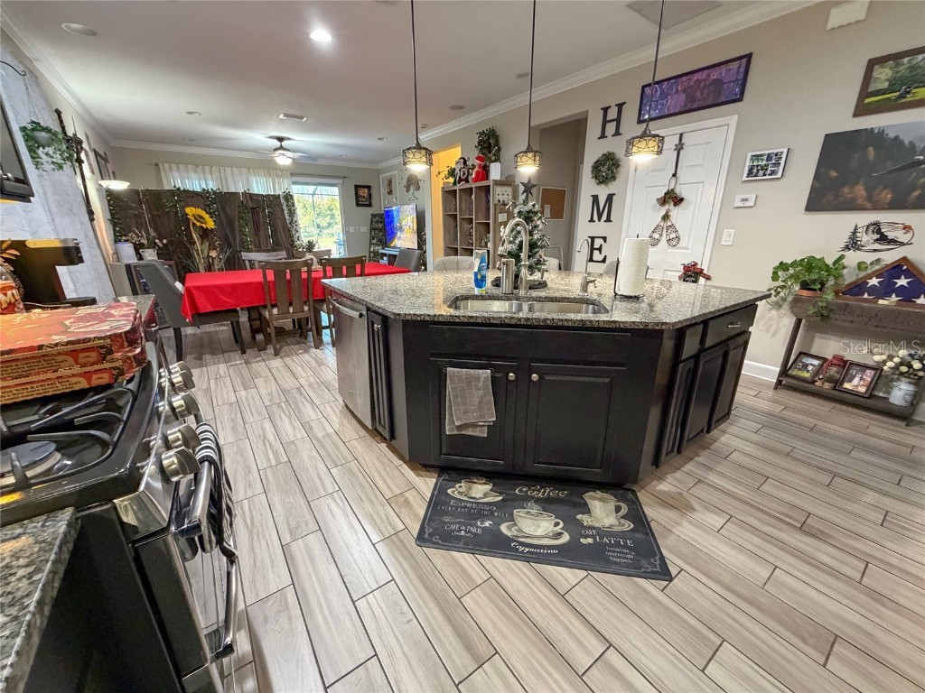 21529 Southern Charm Drive Land O Lakes FL 34637 TB8457456 image12