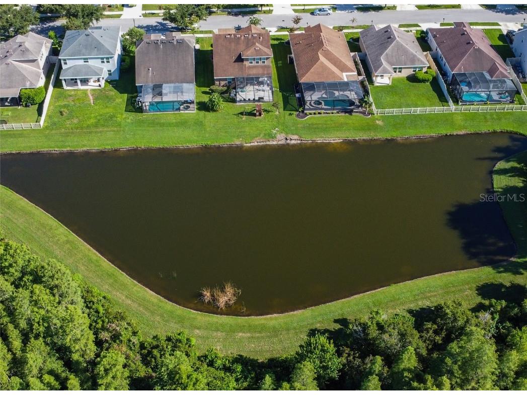 21529 Southern Charm Drive Land O Lakes FL 34637 TB8457456 image2