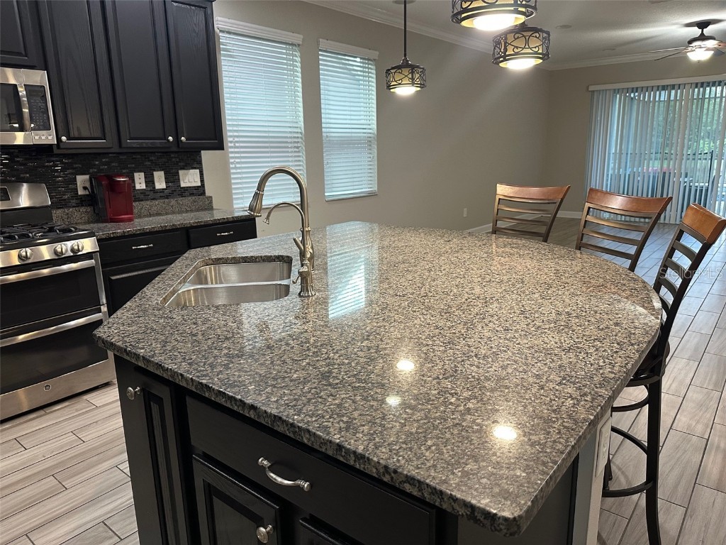 21529 Southern Charm Drive Land O Lakes FL 34637 TB8457456 image20