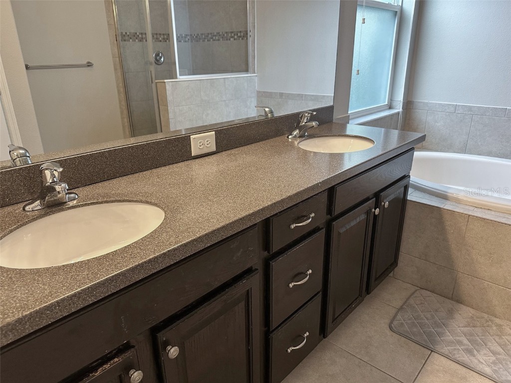 21529 Southern Charm Drive Land O Lakes FL 34637 TB8457456 image30