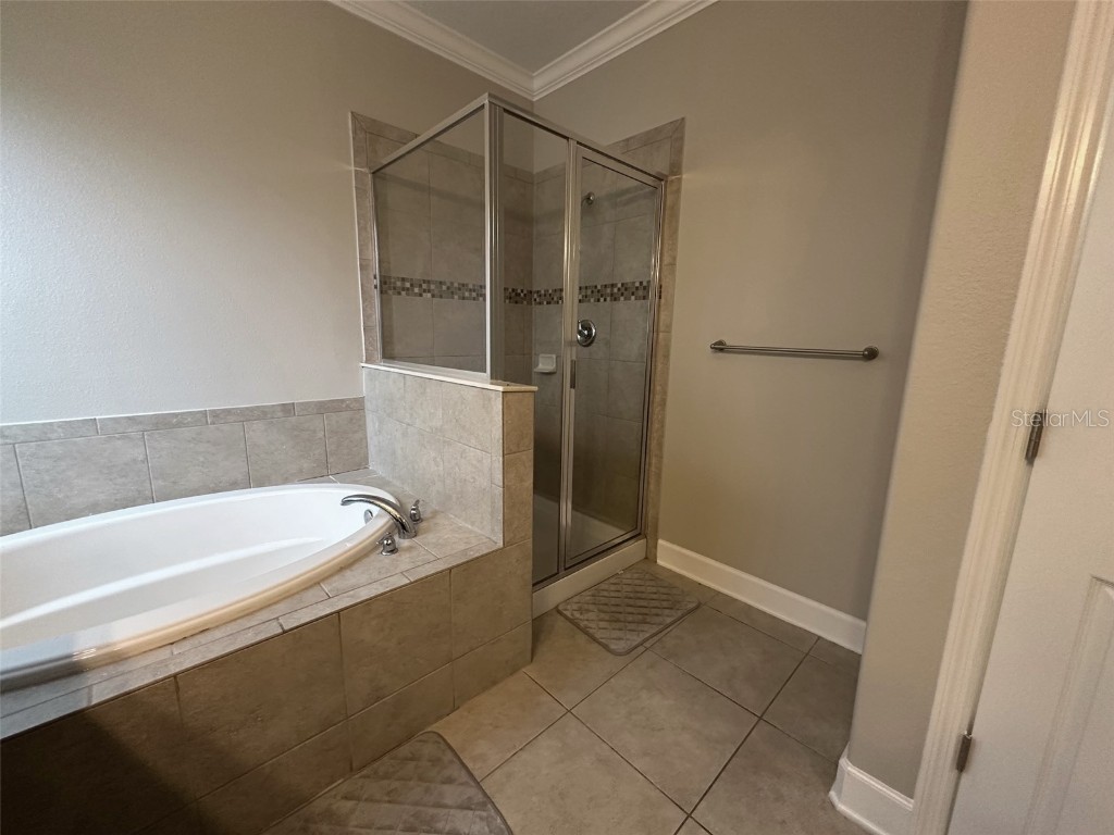 21529 Southern Charm Drive Land O Lakes FL 34637 TB8457456 image34