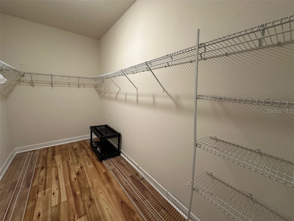 21529 Southern Charm Drive Land O Lakes FL 34637 TB8457456 image36