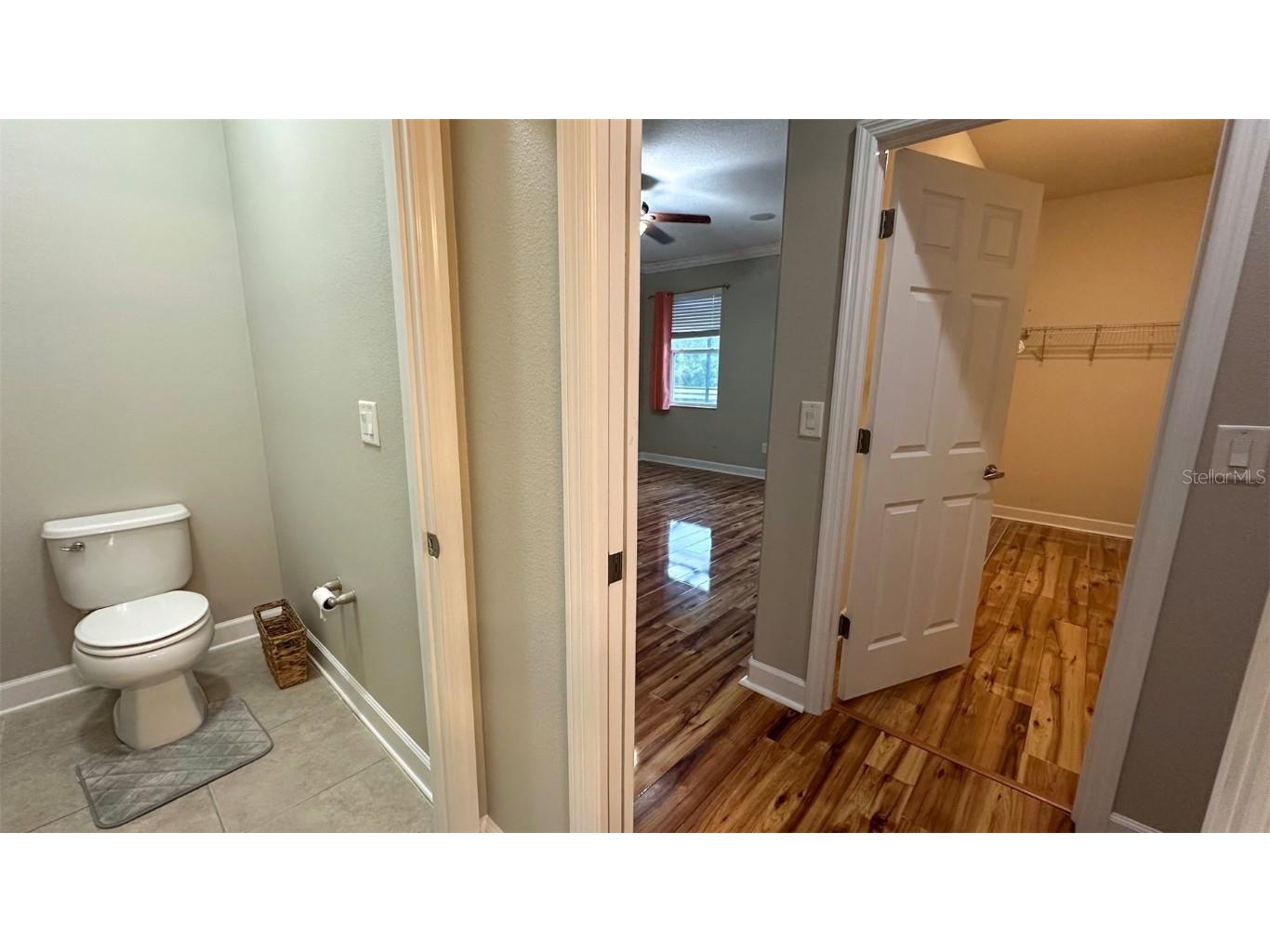 21529 Southern Charm Drive Land O Lakes FL 34637 TB8457456 image38