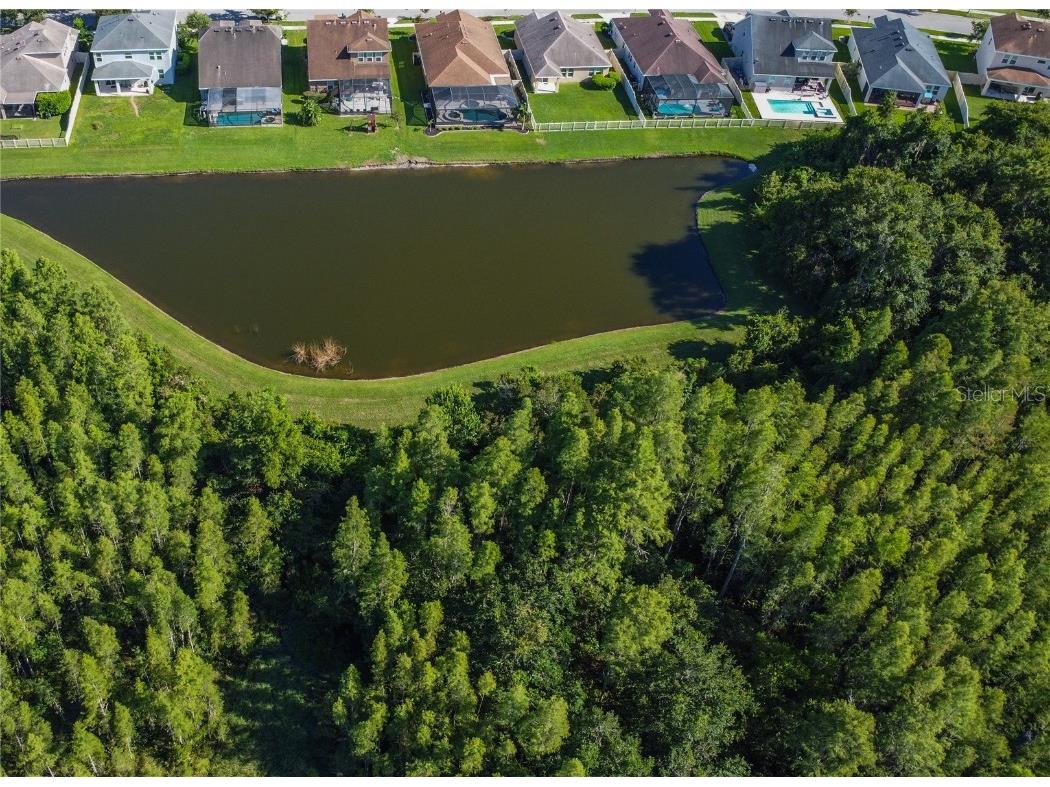 21529 Southern Charm Drive Land O Lakes FL 34637 TB8457456 image43