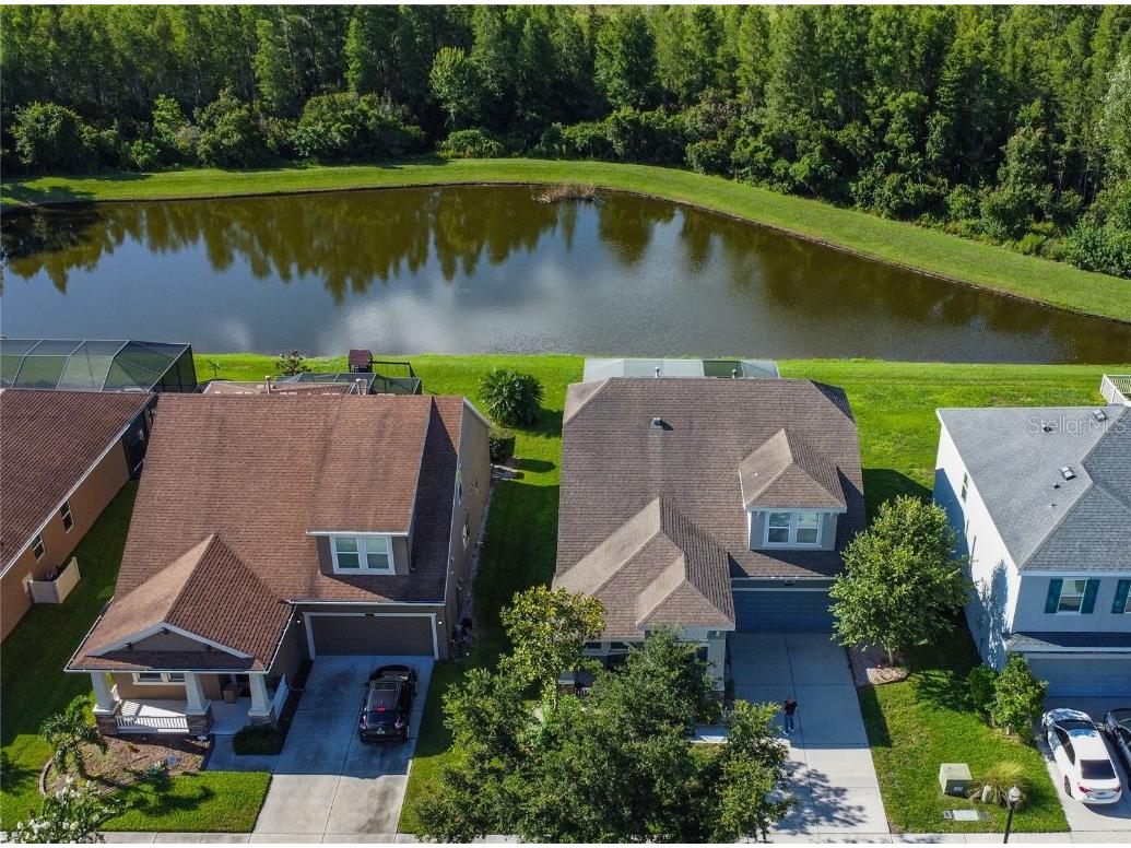 21529 Southern Charm Drive Land O Lakes FL 34637 TB8457456 image45