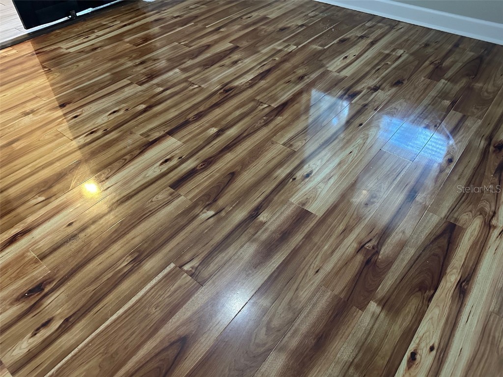 21529 Southern Charm Drive Land O Lakes FL 34637 TB8457456 image53