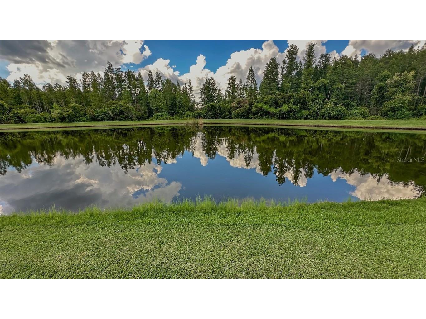 21529 Southern Charm Drive Land O Lakes FL 34637 TB8457456 image6