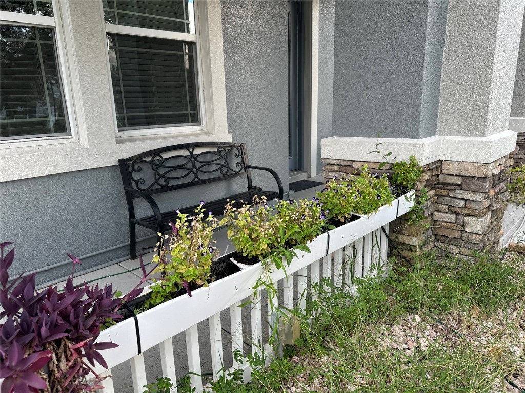 21529 Southern Charm Drive Land O Lakes FL 34637 TB8457456 image78