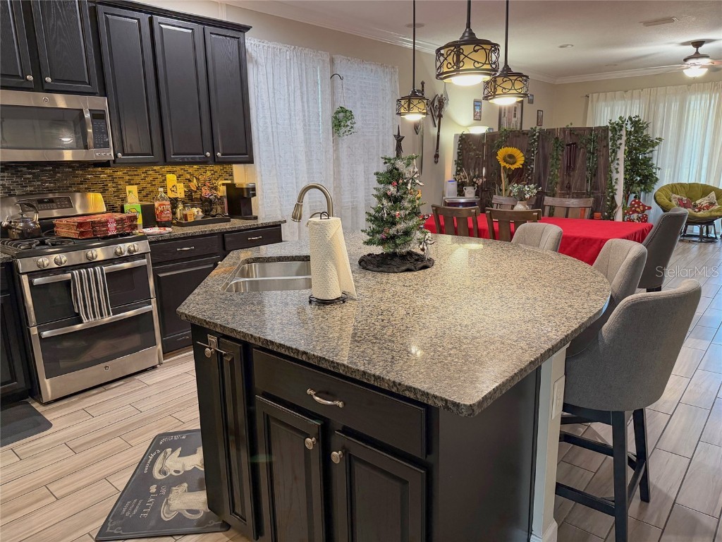 21529 Southern Charm Drive Land O Lakes FL 34637 TB8457456 image8