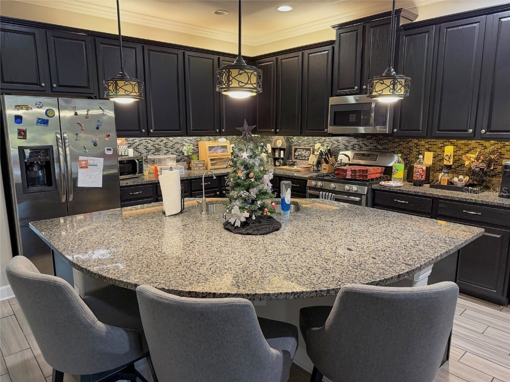 21529 Southern Charm Drive Land O Lakes FL 34637 TB8457456 image9