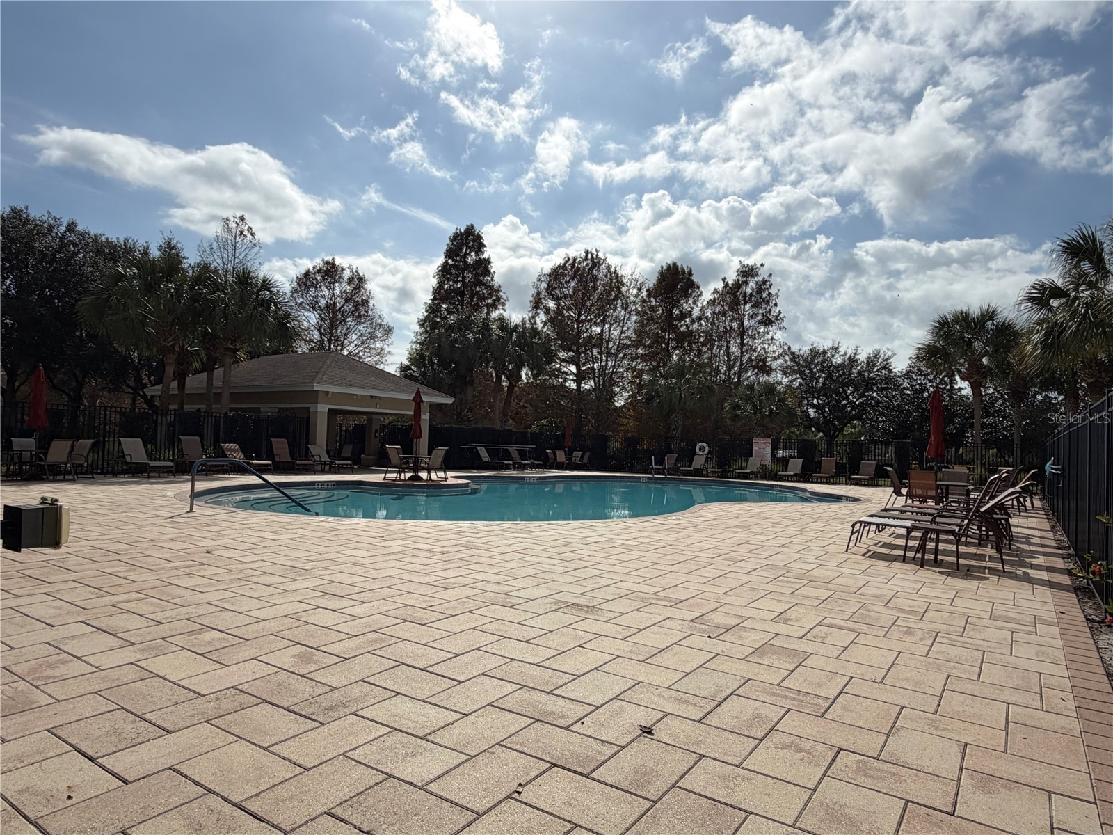 2153 Barracuda Court Holiday FL 34691 TB8459040 image29