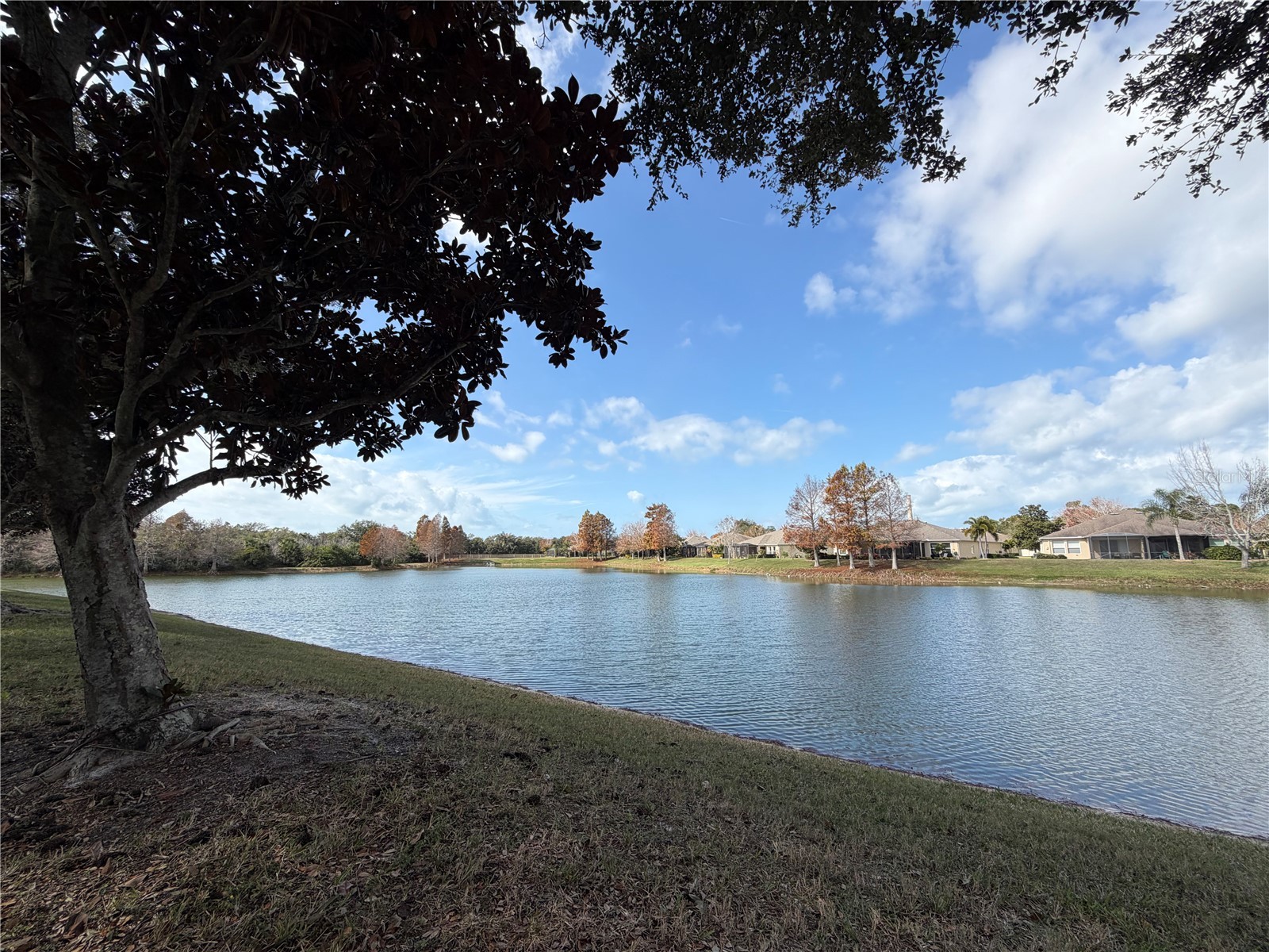 2153 Barracuda Court Holiday FL 34691 TB8459040 image30