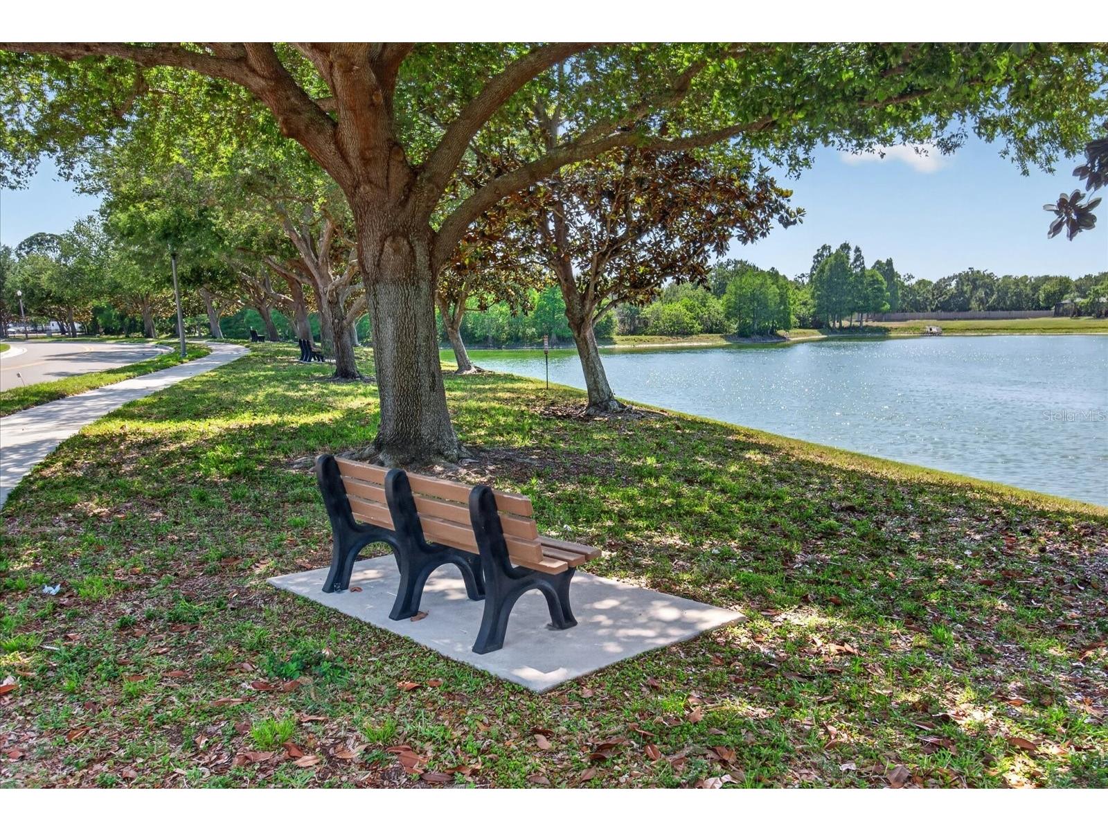 2153 Barracuda Court Holiday FL 34691 TB8459040 image34