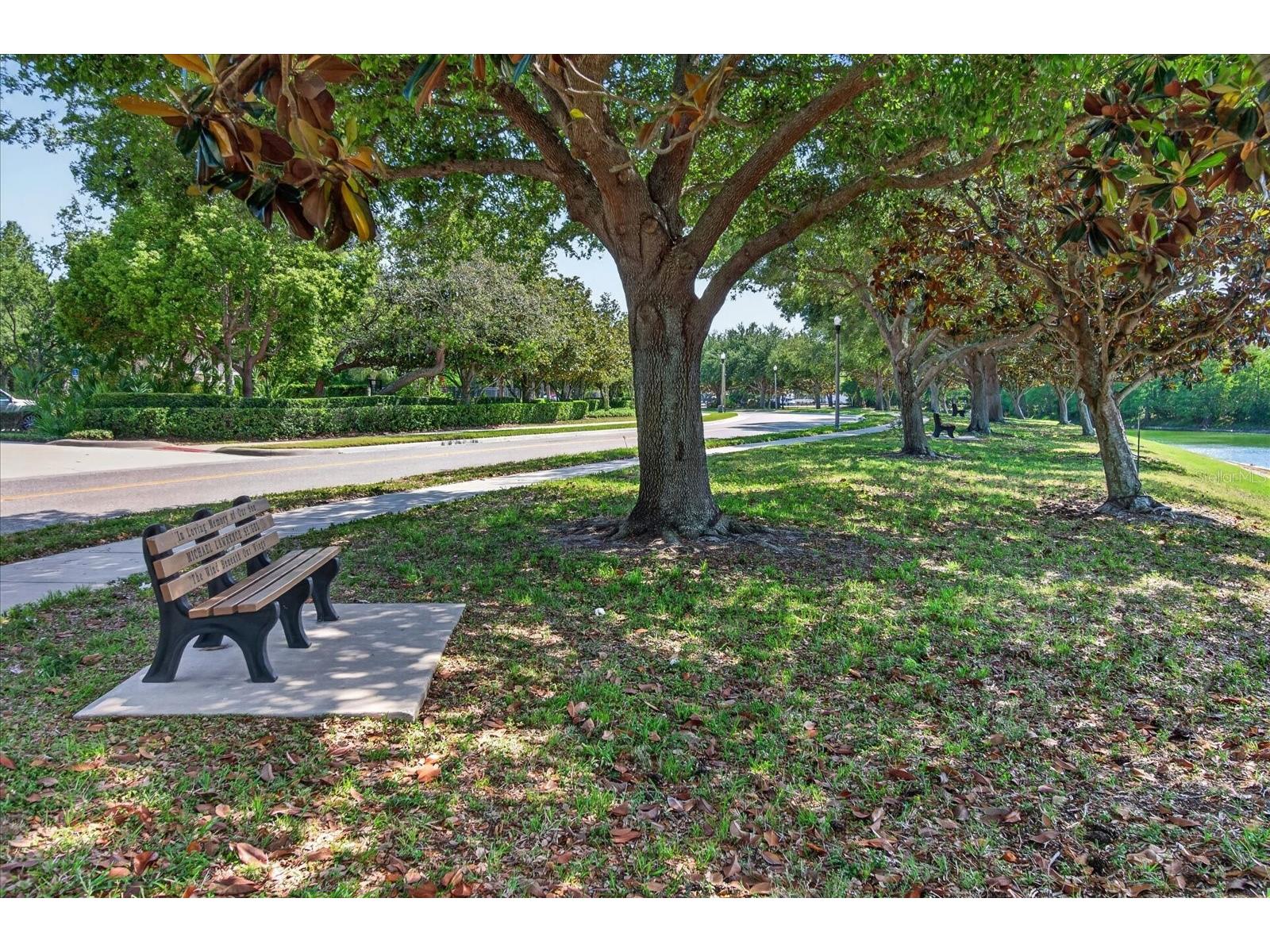 2153 Barracuda Court Holiday FL 34691 TB8459040 image35