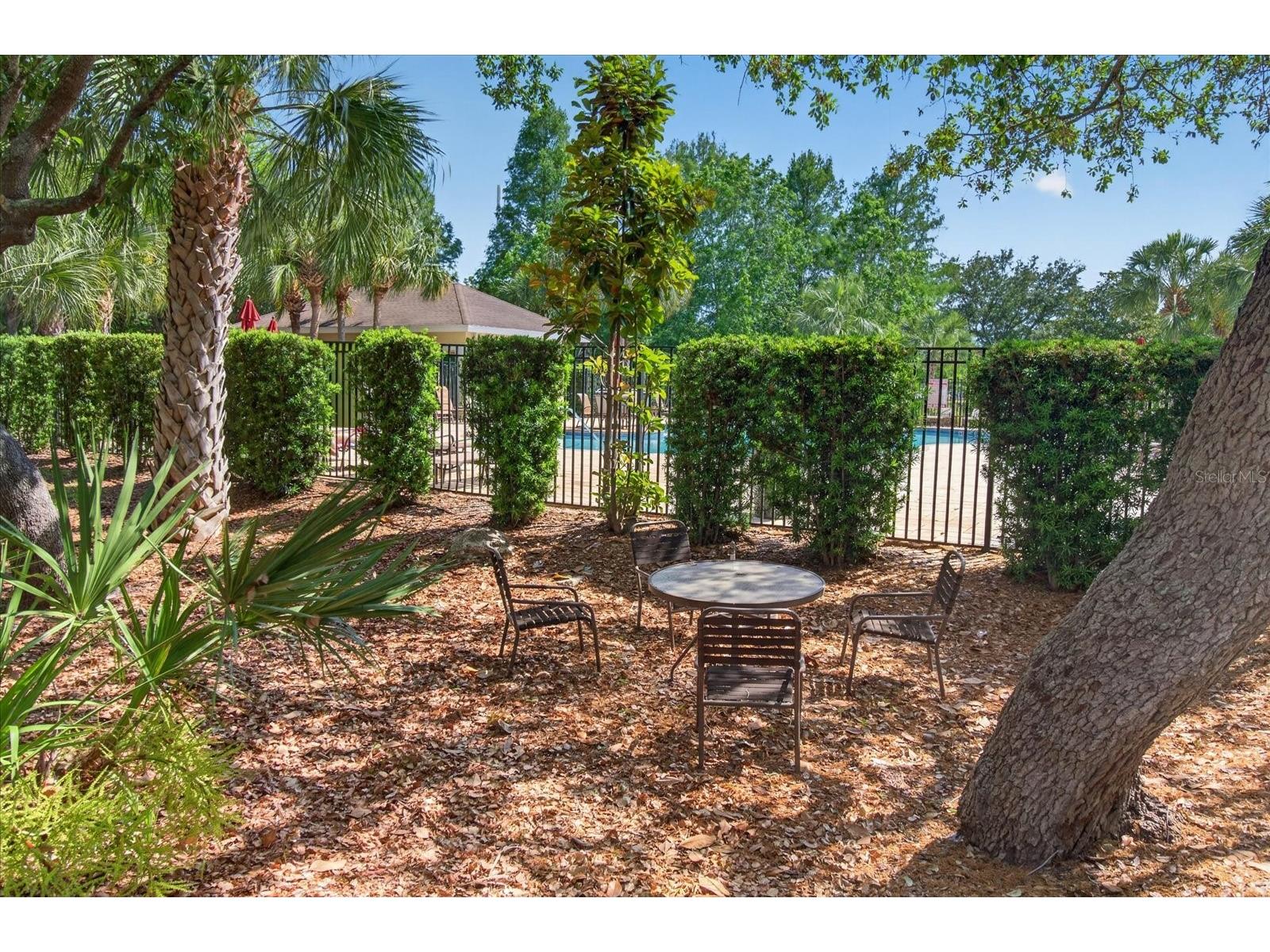 2153 Barracuda Court Holiday FL 34691 TB8459040 image36