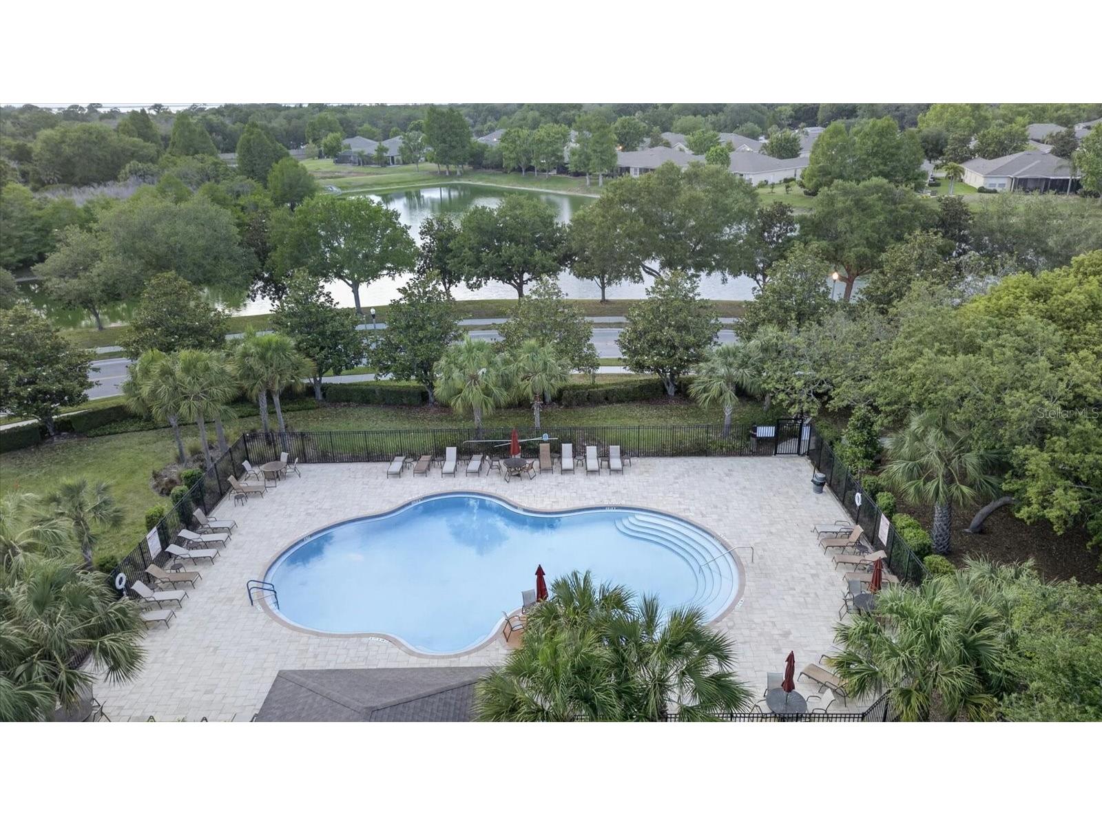 2153 Barracuda Court Holiday FL 34691 TB8459040 image37