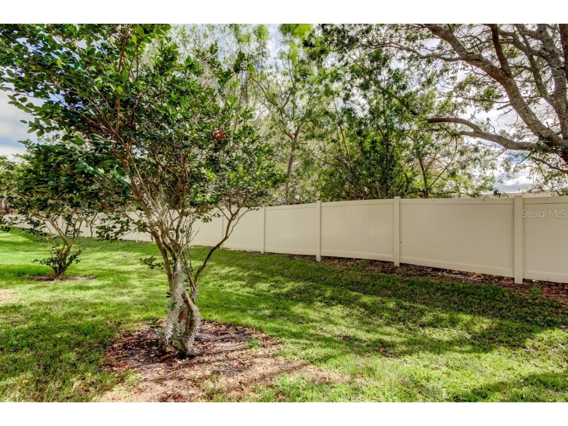 2153 Broadway View Avenue Brandon FL 33510 TB8379390 image39