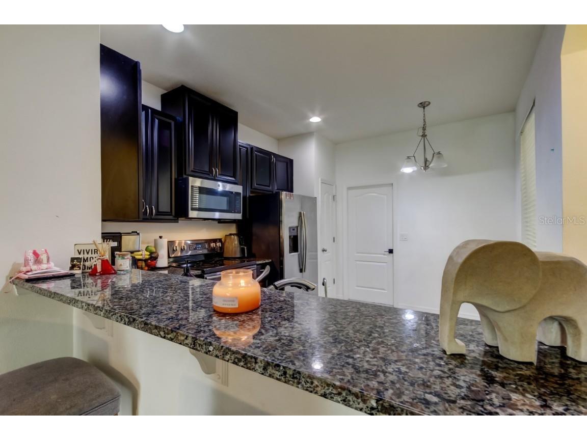 2153 Broadway View Avenue Brandon FL 33510 TB8379390 image9