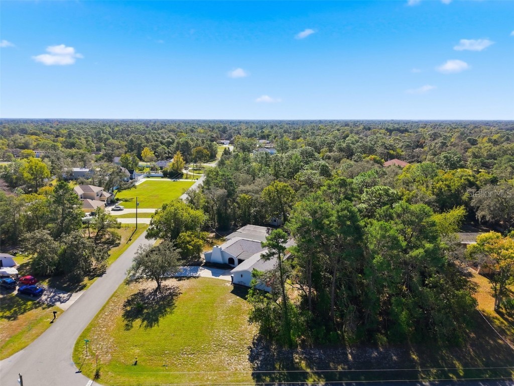 2153 Marble Avenue Spring Hill FL 34609 W7880655 image49