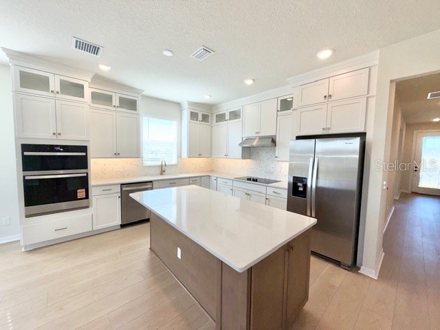 2153 Mossy Vine Avenue Saint Cloud FL 34771 O6375219 image12