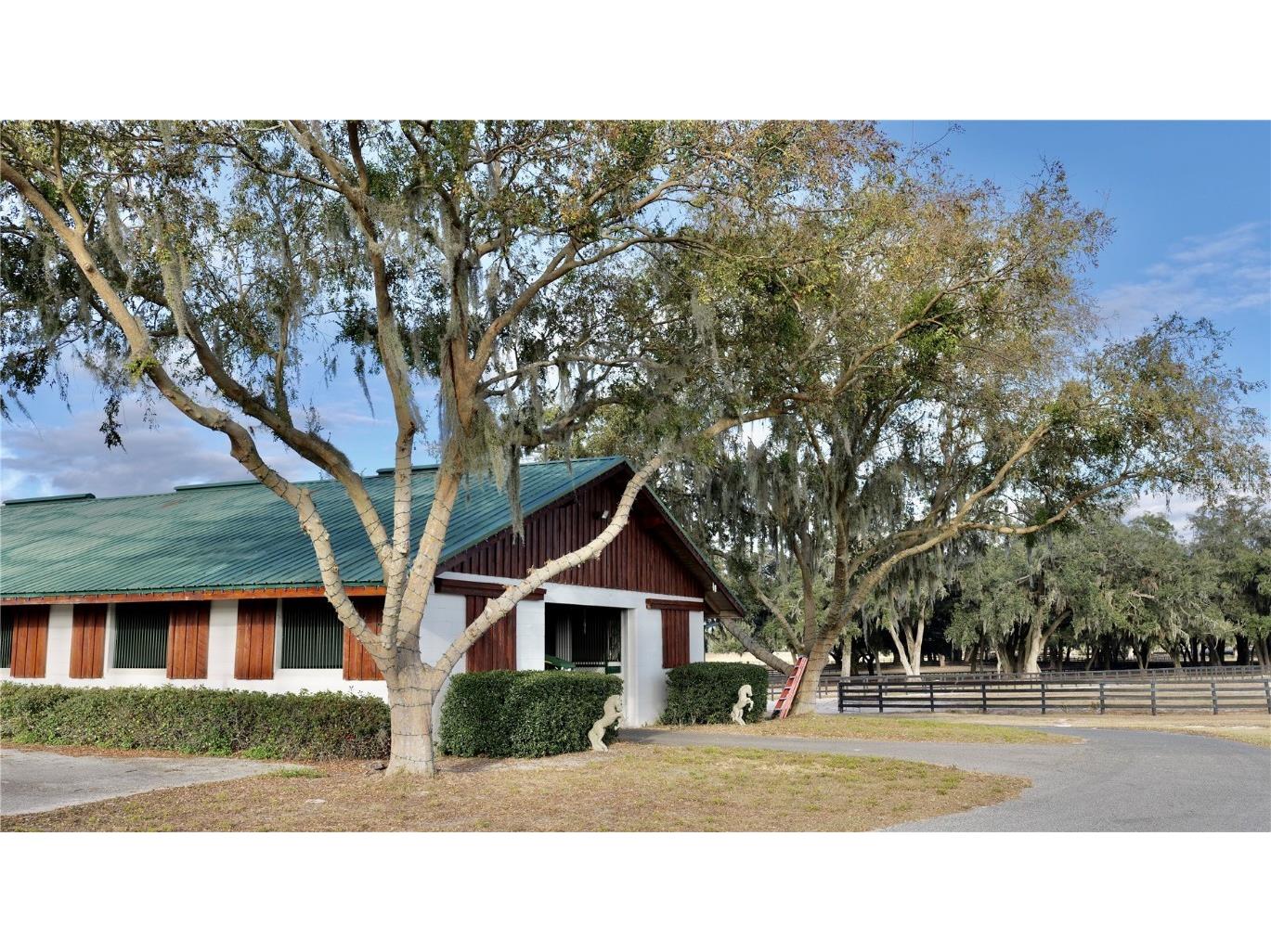 2153 SE Hwy-41 SE Highway 41 Morriston FL 32668 OM691158 image8