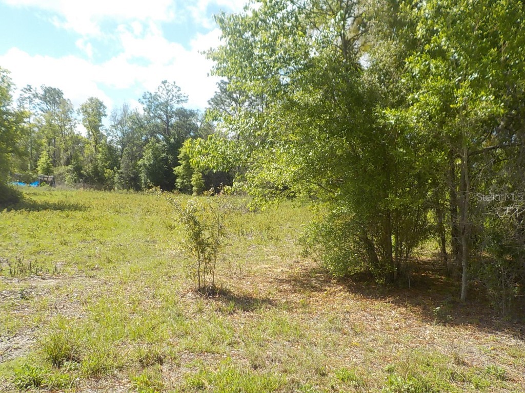 21530 SE 66 Street Morriston FL 32668 OM675320 image1