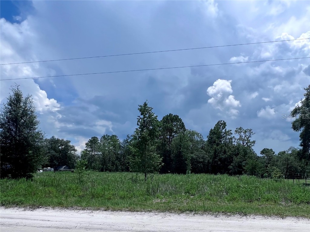 21530 SE 66th Street Morriston FL 32668 G5070726 image1