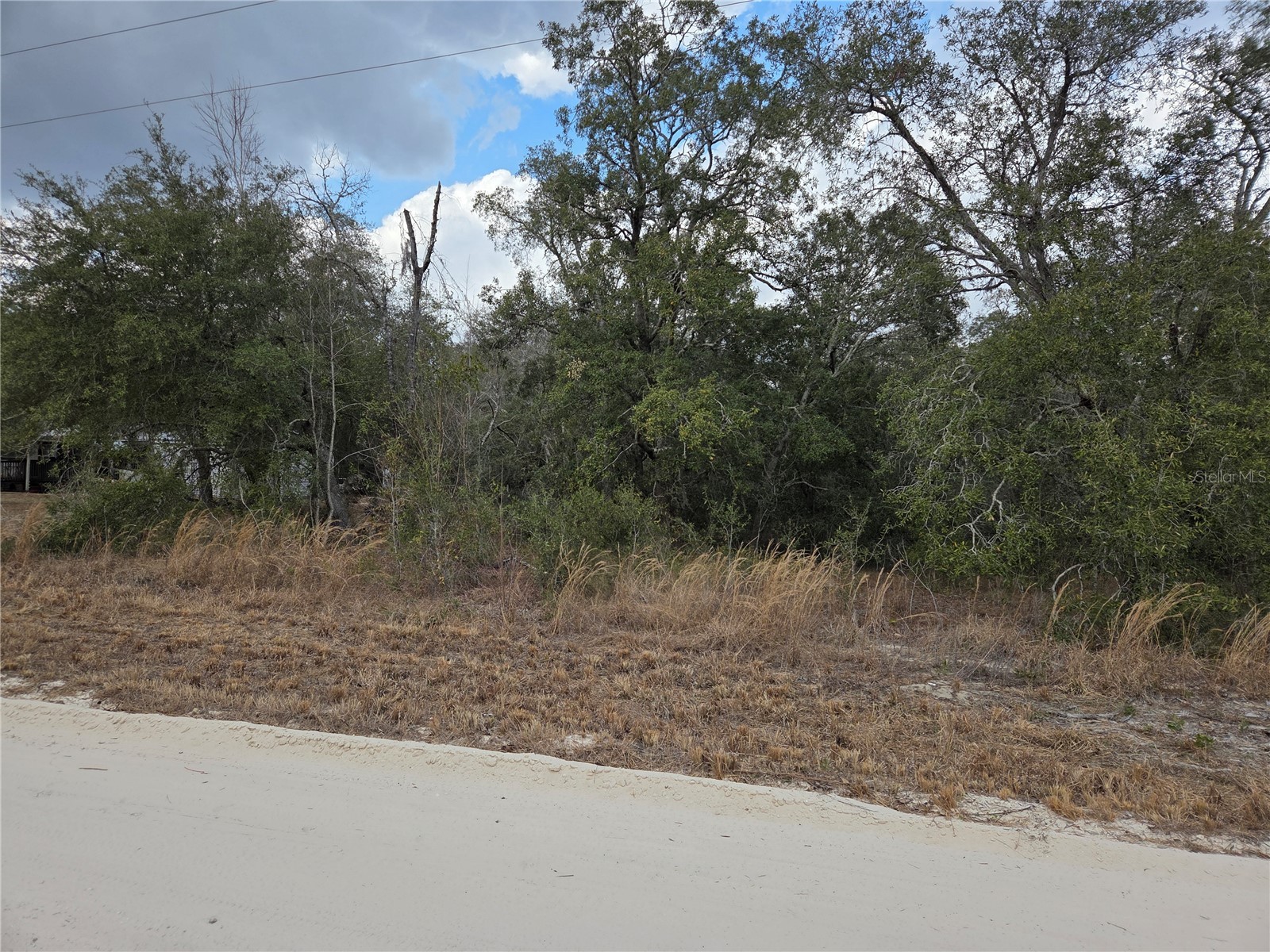 21531 SE 68th Lane Morriston FL 32668 OM718774 image1