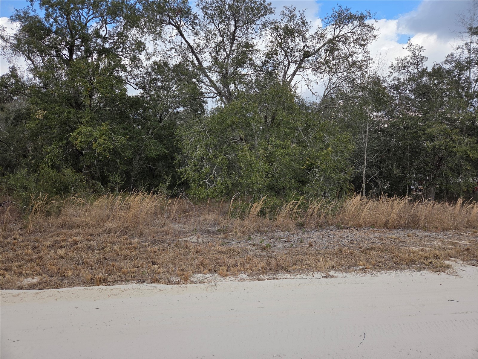 21531 SE 68th Lane Morriston FL 32668 OM718774 image4