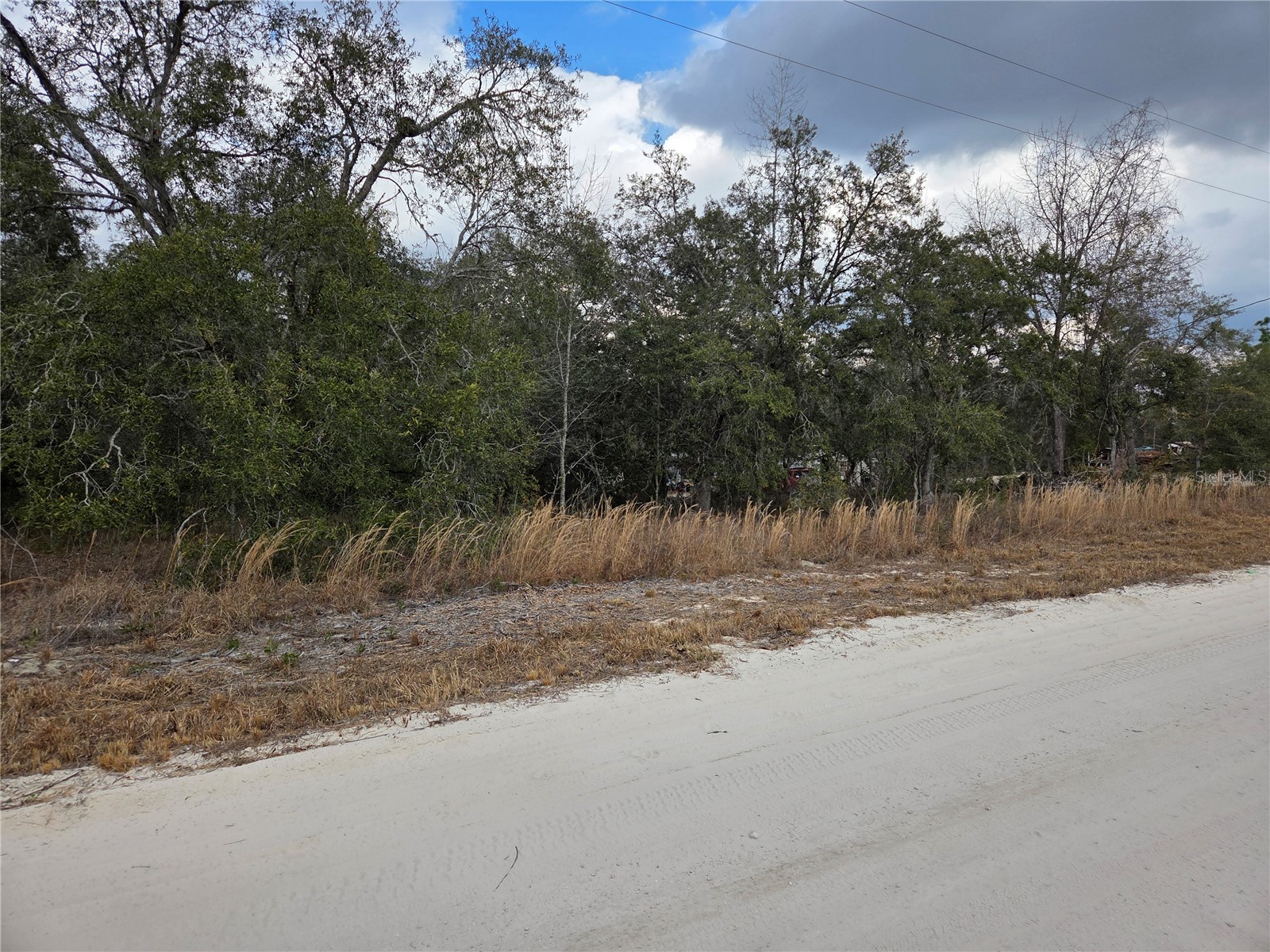 21531 SE 68th Lane Morriston FL 32668 OM718774 image5