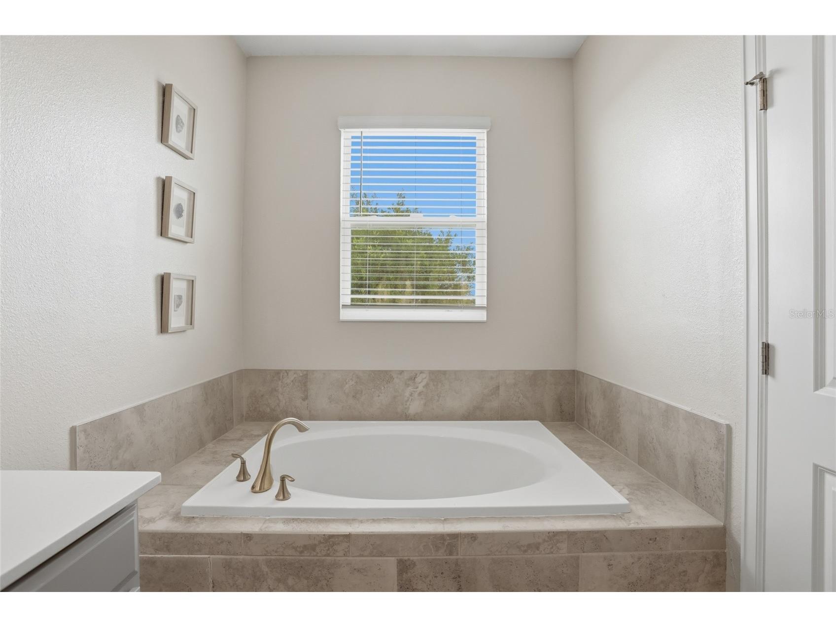 2154 Camden Loop Davenport FL 33837 O6397159 image21