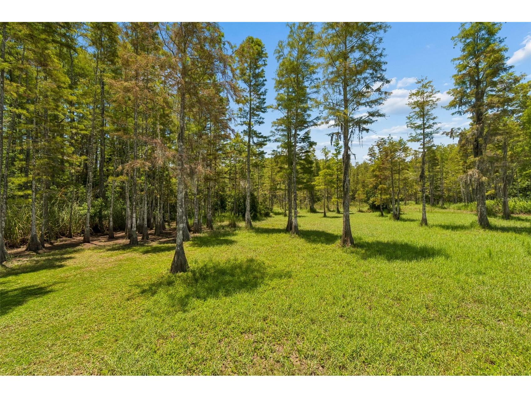 2154 Ground Squirrel Drive New Port Richey FL 34655 TB8525971 image3