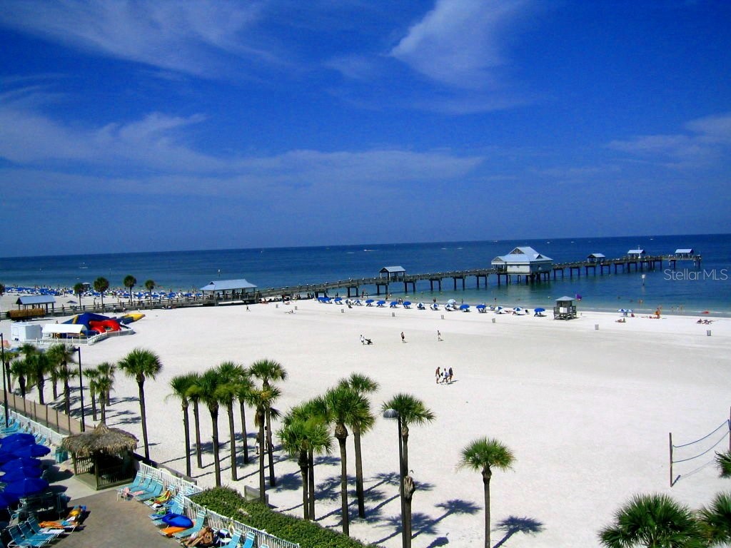 2154 N Hercules Avenue Clearwater FL 33763 TB8502239 image37