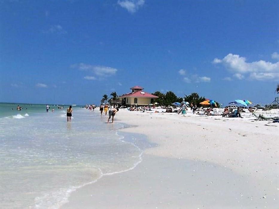 2154 N Hercules Avenue Clearwater FL 33763 TB8502239 image38