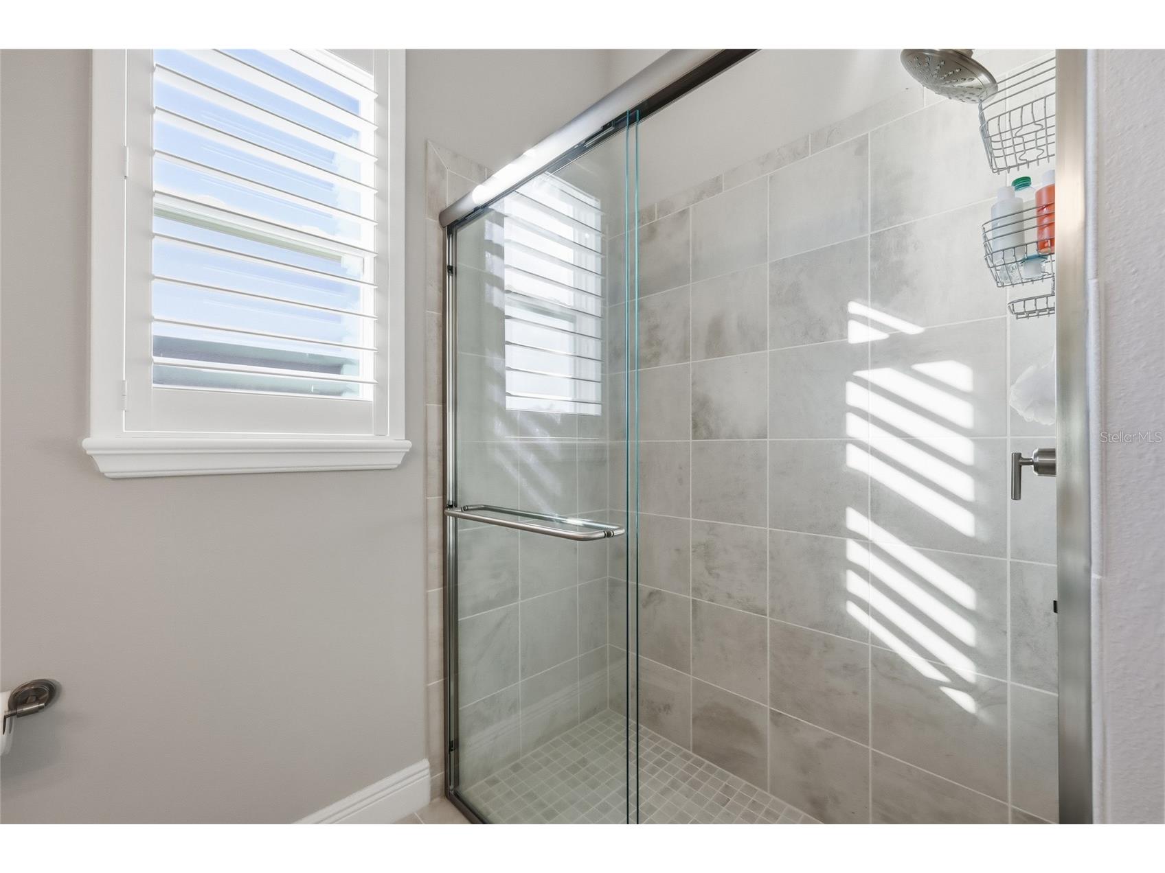 2154 Wallingford Loop Mount Dora FL 32757 O6372764 image9