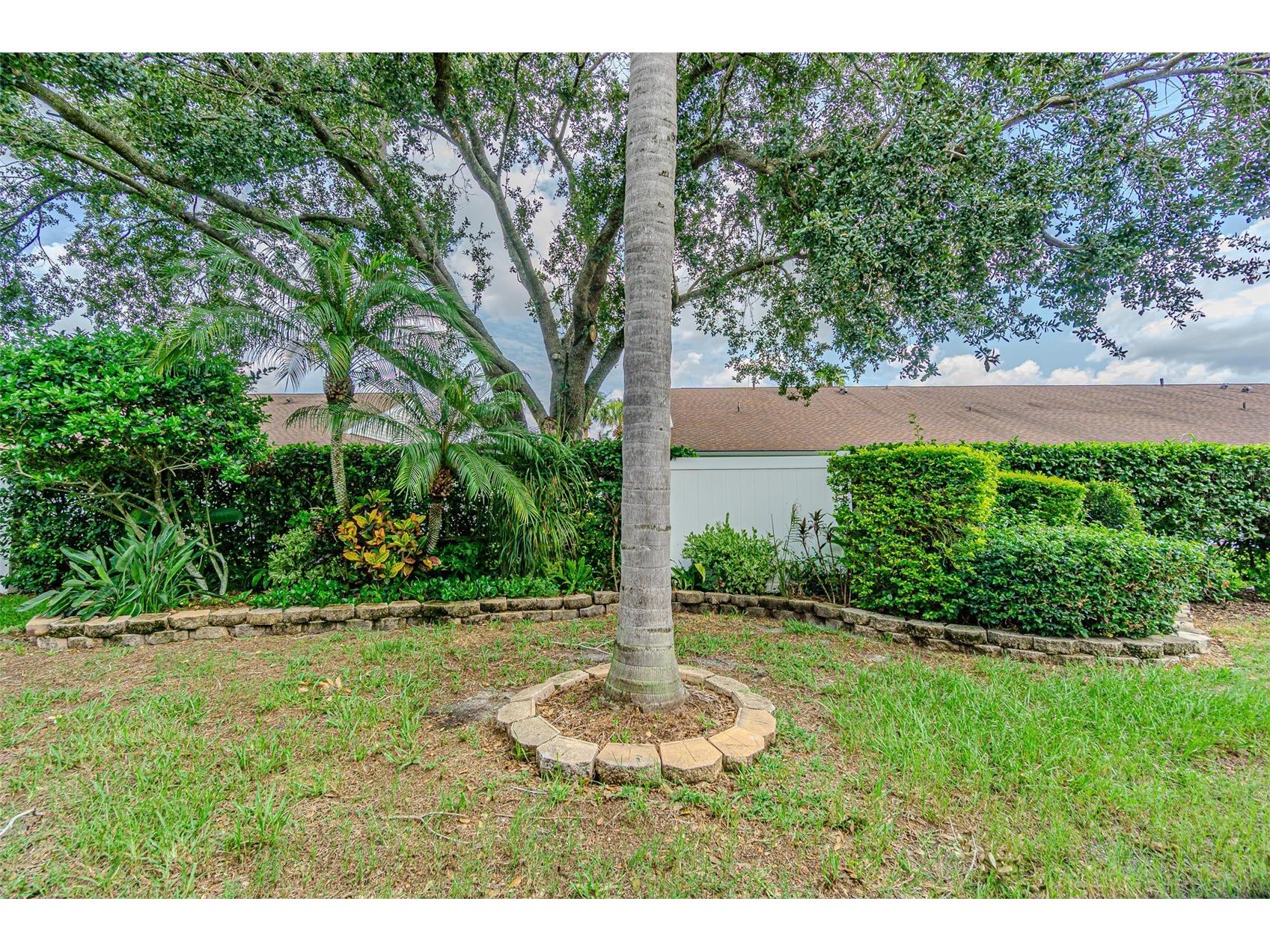 21542 Clubside Loop Lutz FL 33549 TB8528358 image20