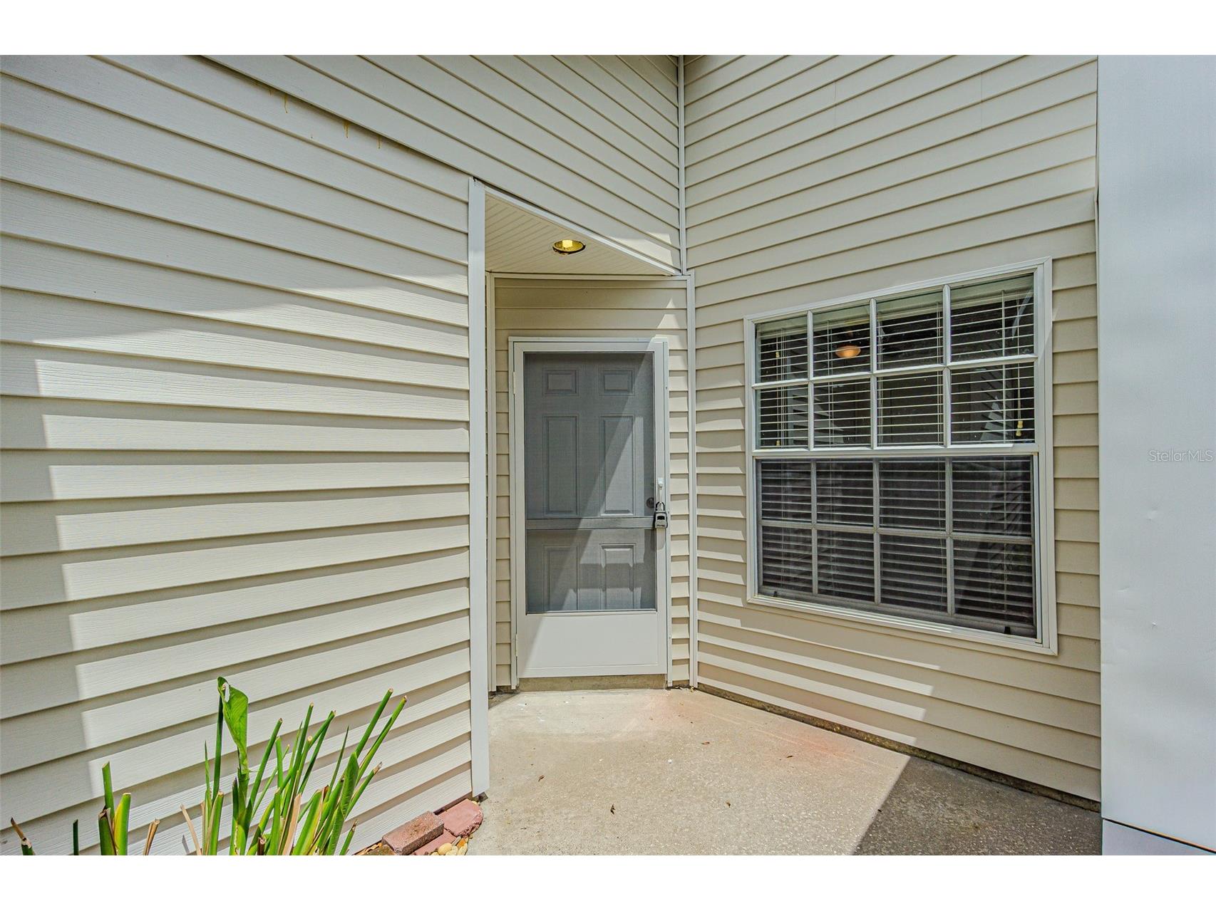 21542 Clubside Loop Lutz FL 33549 TB8528358 image35